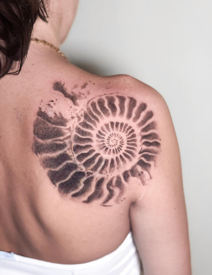 Legacy collection Legacy collection