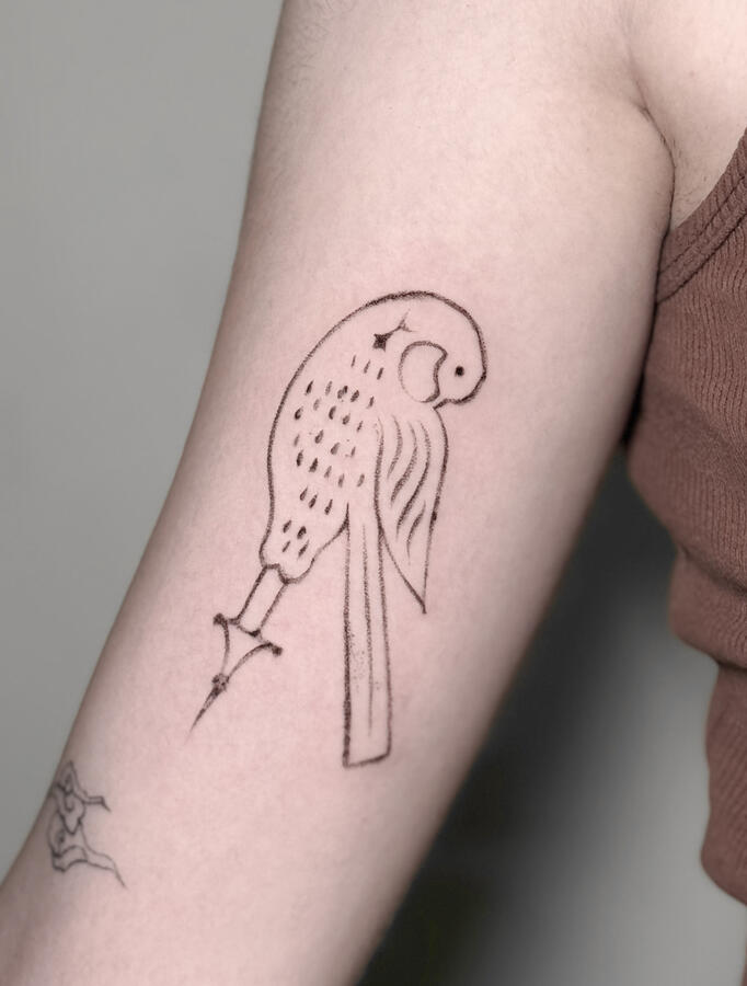 Shiraz collection Shiraz collection