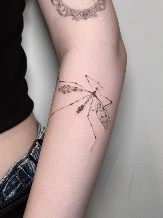 Legacy collection Legacy collection